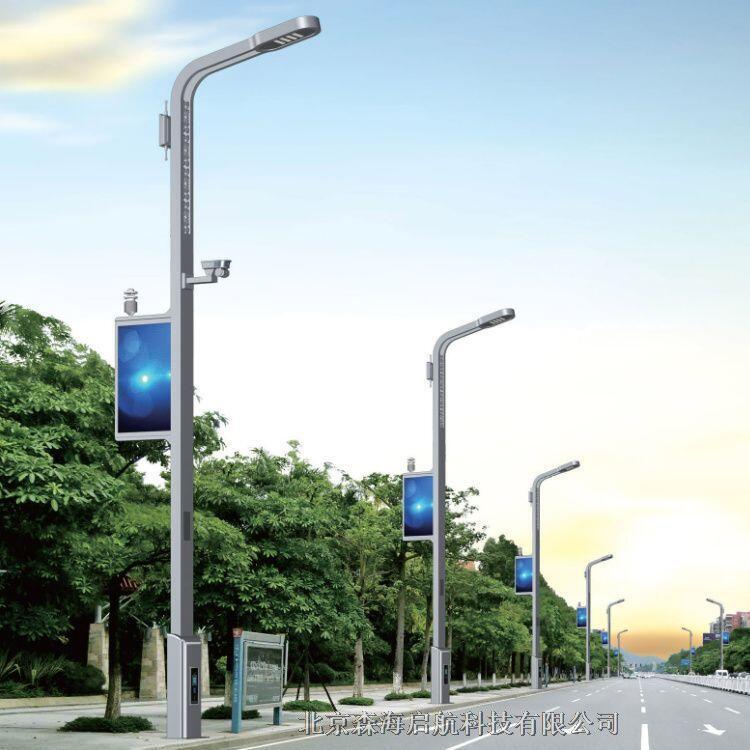 智慧燈具 高檔小區智慧路燈安裝工程